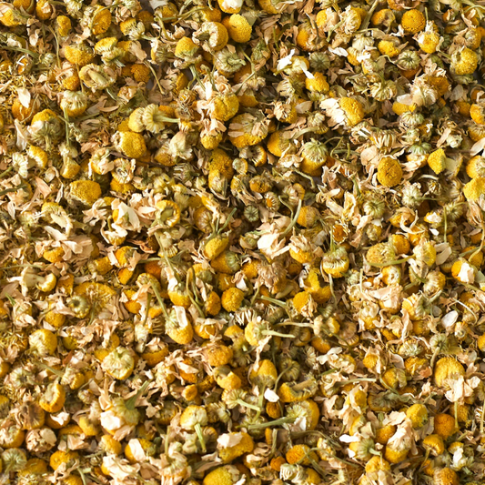 Camomille Romaine – Infusion simple / Les Elixirs de Terre Mère