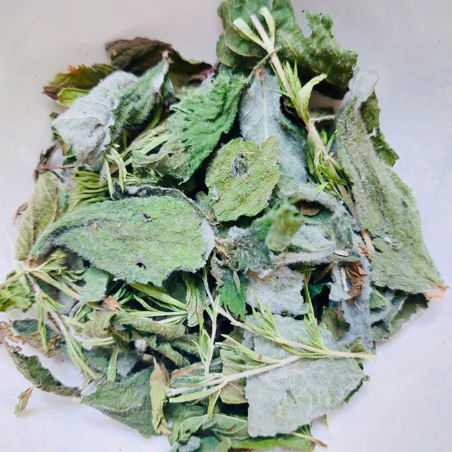 La Voix des Anges  - Infusion composée / Les Elixirs de Terre Mère