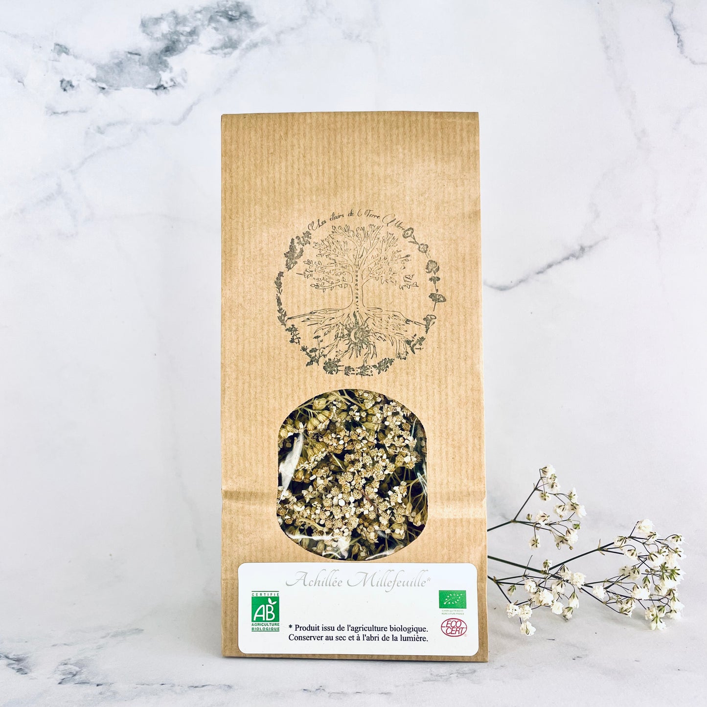 Achillée Millefeuille – Infusion simple / Les Elixirs de Terre Mère