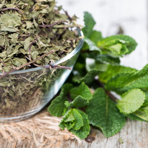 Menthe aux Mille vertus – Infusion simple / Les Elixirs de Terre Mère